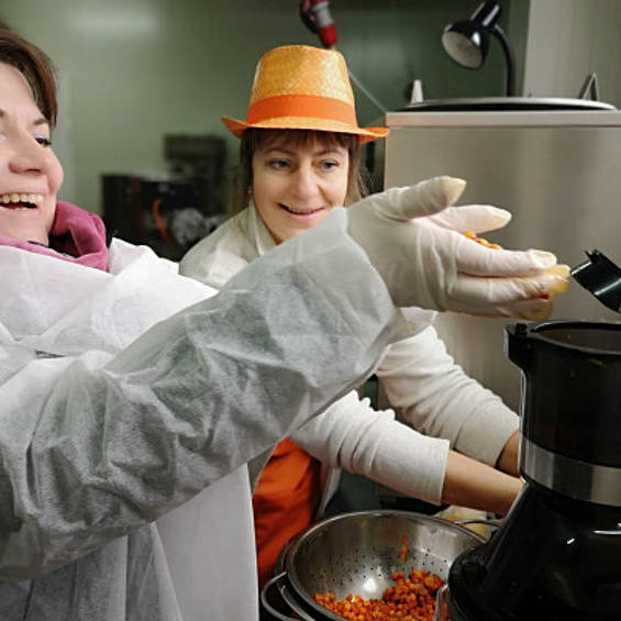 Discover amber berries with slow trips