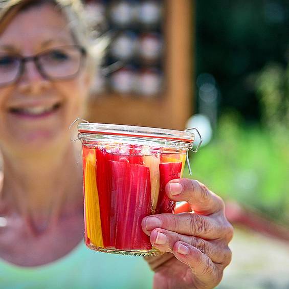 Fermentation-Workshop in Eastern Styria with Slow Trips (c) Christian Strassegger Fermentation-Workshop in Eastern Styria with Slow Trips (c) Christian Strassegger
