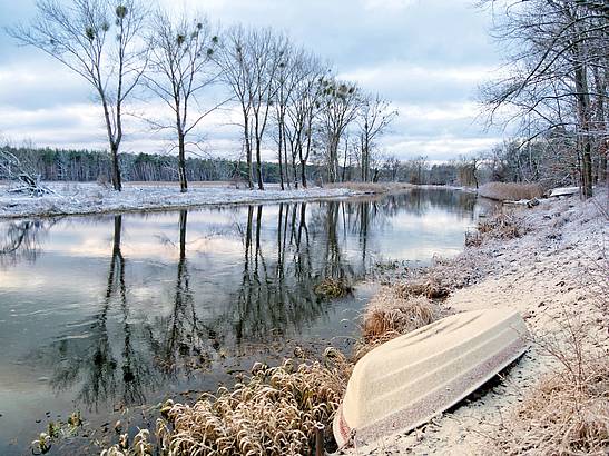 Winterliche Landschaft an der Spree