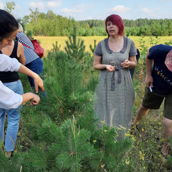 The power of Conifers with slow trips The power of Conifers with slow trips