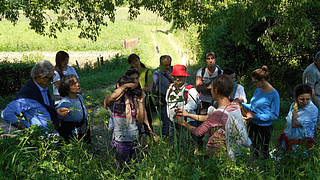 Herbs and local lore