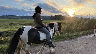 Time out with horses