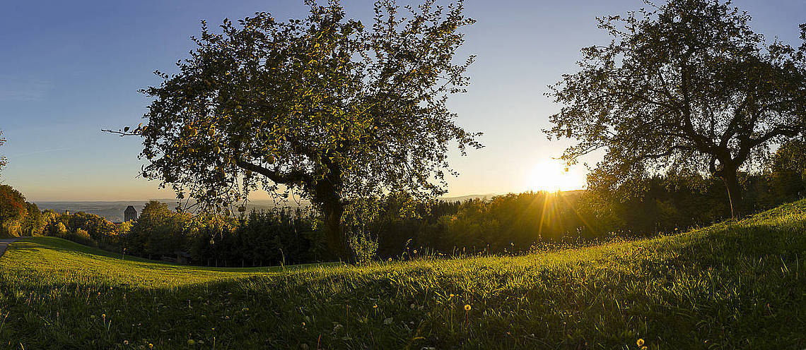 Ausblick auf die Natur (c) Bernhard Bergmann