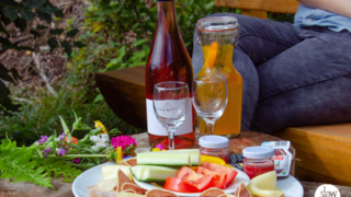 A Picnic with a View