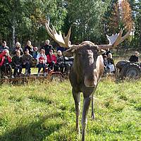 Nedre Dalälven