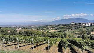 Hike in the hills of Sagrantino