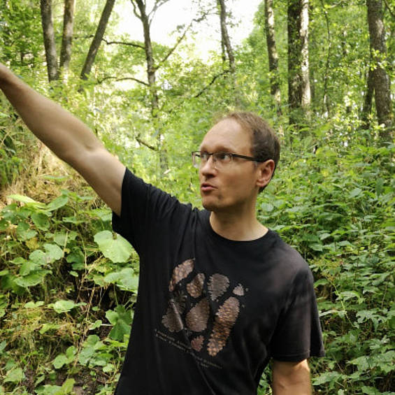 The power of Conifers with slow trips The power of Conifers with slow trips