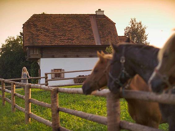 Landlust house Friedrich Landlust house Friedrich