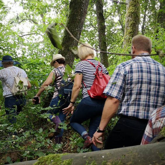 The power of Conifers with slow trips The power of Conifers with slow trips
