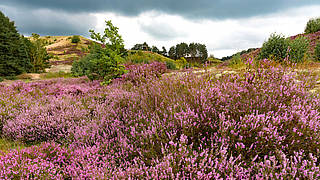 Photography workshop and tour (in the North)