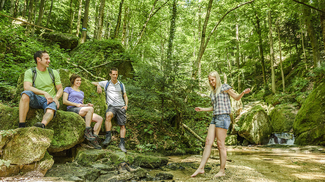 Wanderung am Donaustieg, Wolfsschlucht Bad Kreuzen © WGD Donau Oberösterreich Tourismus GmbH / Hochhauser