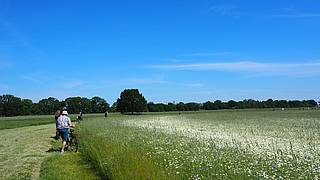 Green tours